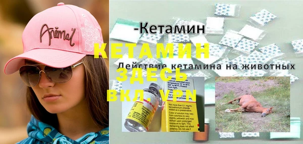 гашик Баксан