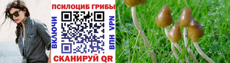 Псилоцибиновые грибы Magic Shrooms  Купить закладки  Большой Камень 